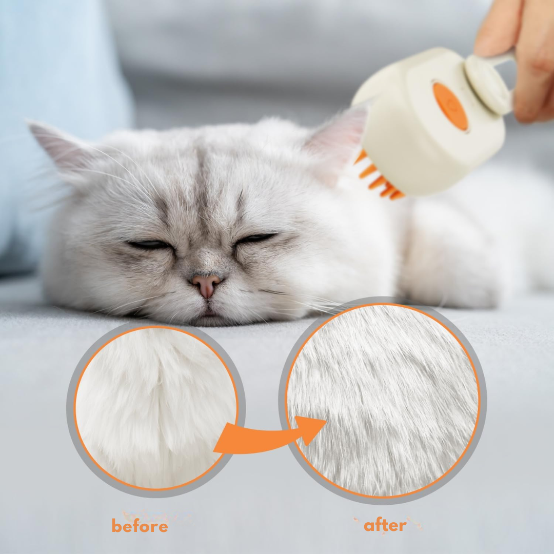Brush for your pet